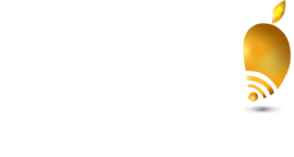 MangoNet
